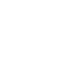 vector
